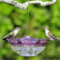 HummBlossom Hummingbird Feeder - Plum