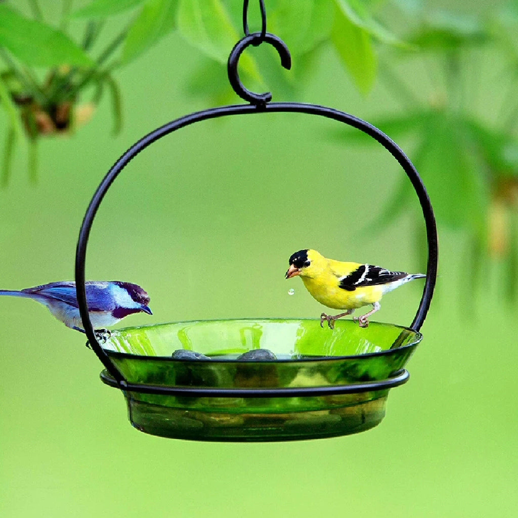 Cuban Glass Bird Feeder/Birdbath