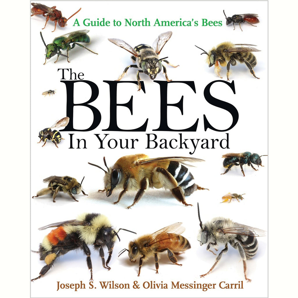 The Bees in Your Backyard: North America Guide