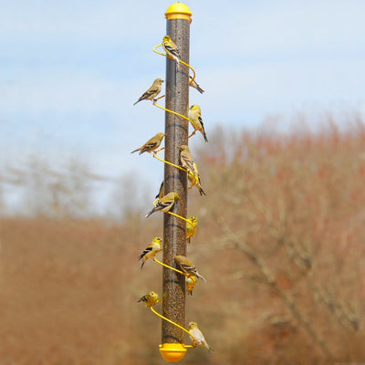 Spiral Finch Tube Feeder Yellow 36 inch