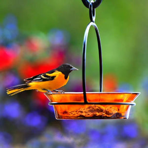 Cuban Glass Bird Feeder/Birdbath