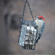 Double Suet Hanging Feeder Basket - Momma's Home Store