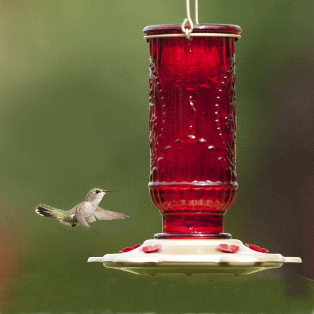 Red Vintage Hummingbird Feeder