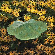 Green Leaf Birdbath w/Stand - Momma's Home Store