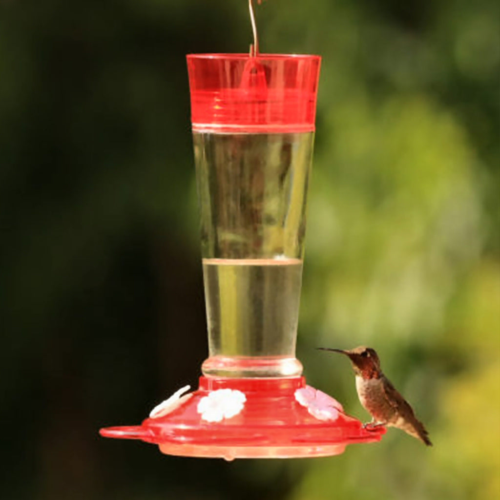 Ruby Glass Hummingbird Feeder
