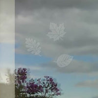 Leaf Medley WindowAlert Decal 5 pack