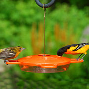 Deluxe Oriole Nectar Bird Feeder 16 oz - Momma's Home Store