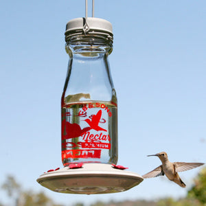 Jersey Hummingbird Feeder 18 oz