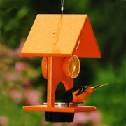 Recycled Fruit & Jelly Oriole Feeder