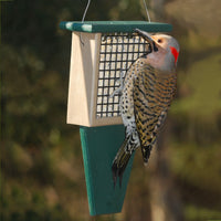 Suet Recycled Bird Feeder w/Tail Prop