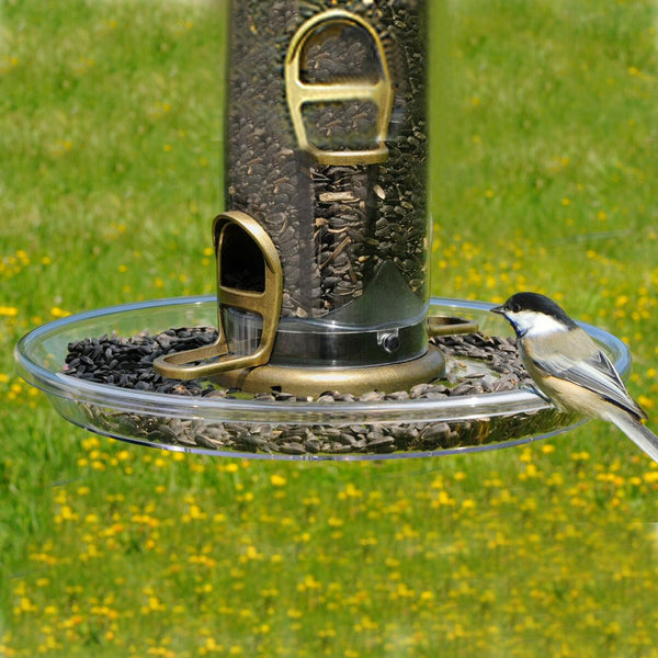 BigFoot Aspects Bird Feeder Seed Tray Momma's Home Store