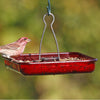Red Platform Tray Bird Feeder