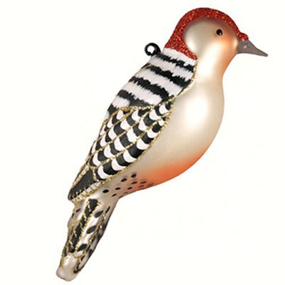 Red Bellied Woodpecker Glass Ornament