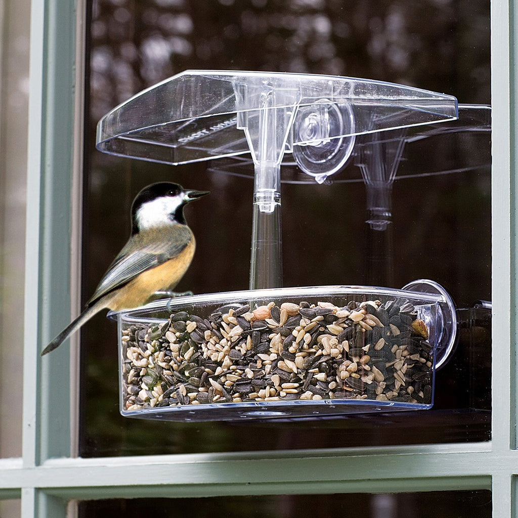 Observer Window Bird Feeder