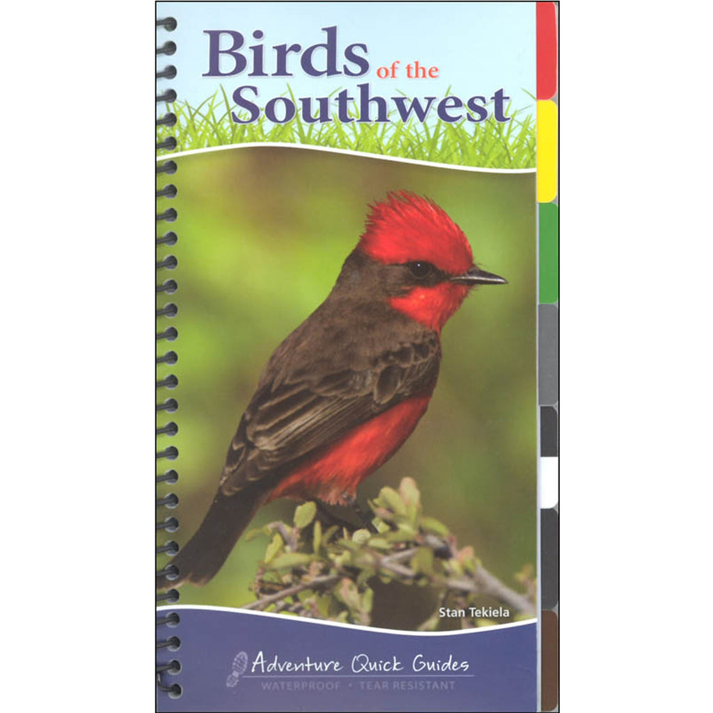 Birds of the Southwest Quick Guide