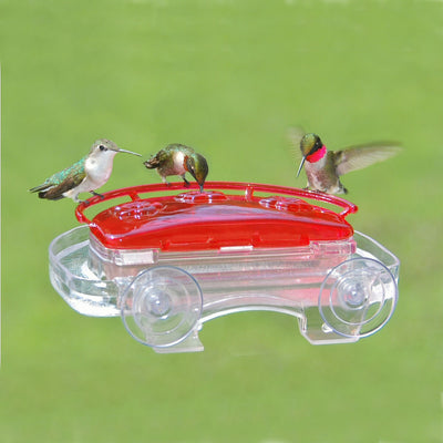 Jewel Box Window Hummingbird Feeder