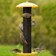 Yellow Straight Sided Finch Feeder