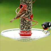 Screw-On Bird Feeder Seed Tray 7.5 inch
