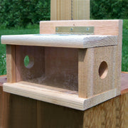 Bluebird Cedar Tree Mount Bird Feeder
