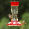 Garnet Glass Hummingbird Feeder