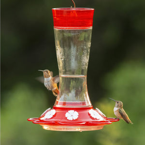 Garnet Glass Hummingbird Feeder
