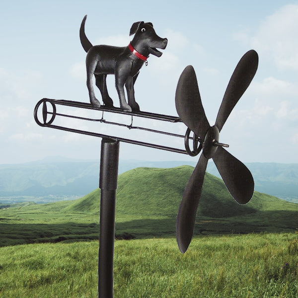 Image2_84e4b38d-1e8b-40b3-8c6f