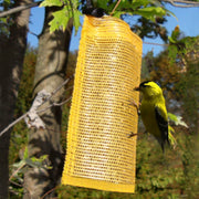 Finch Thistle Sack Bird Feeder Gold