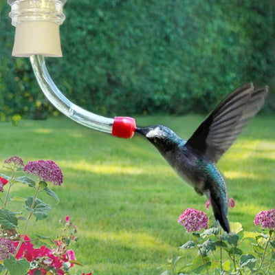 DIY Hummingbird Feeder Tube Insert