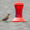 Orange Oriole Bird Feeder 24 oz