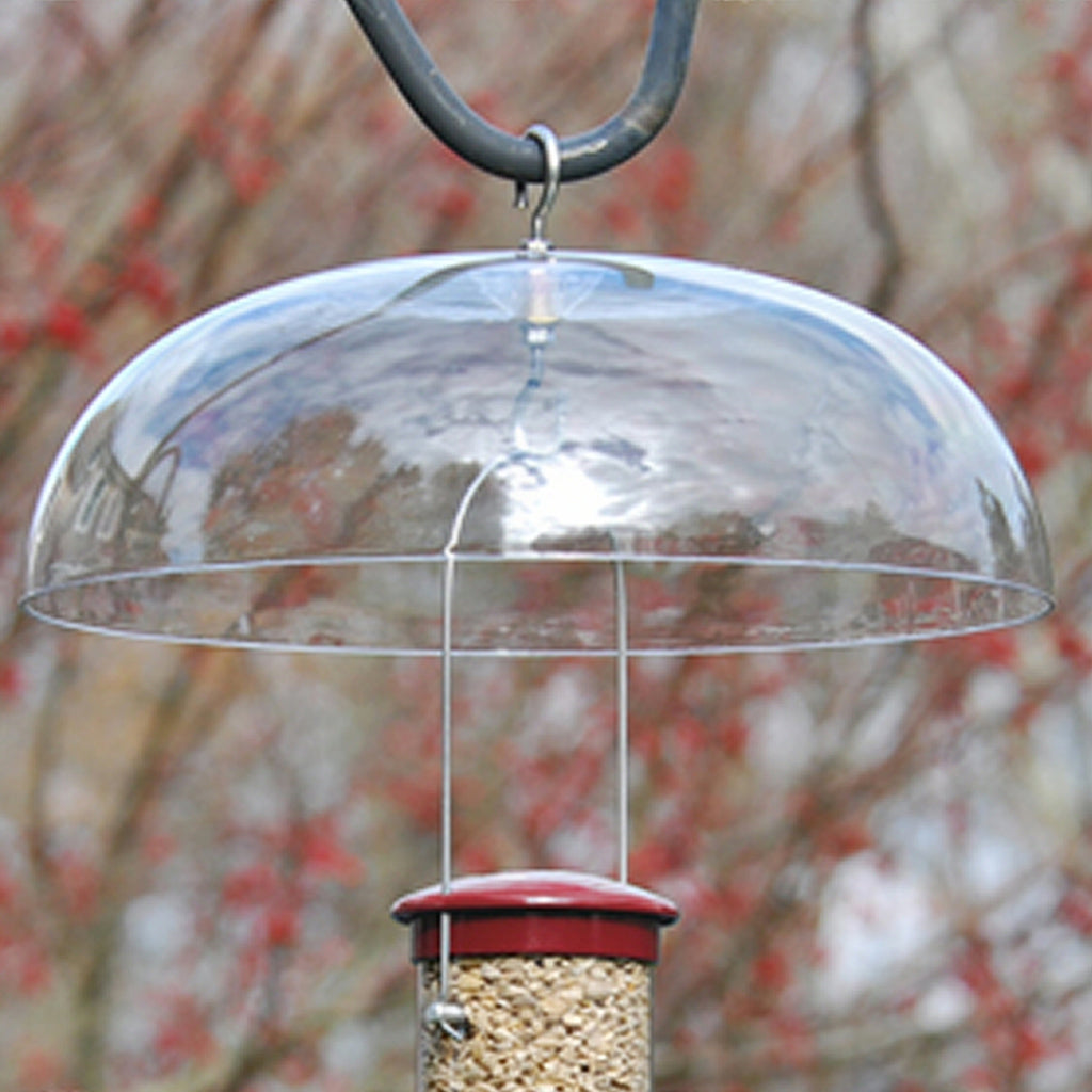 Universal Bird Feeder Weather Dome - Momma's Home Store