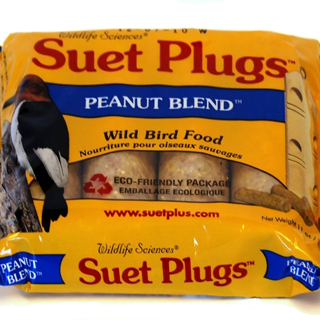 Peanut Blend Suet Plugs 11 oz - 2 pks