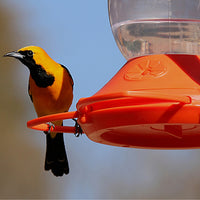 Orange Oriole Nectar Bird Feeder 32 oz