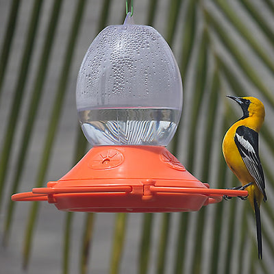 Orange Oriole Nectar Bird Feeder 32 oz