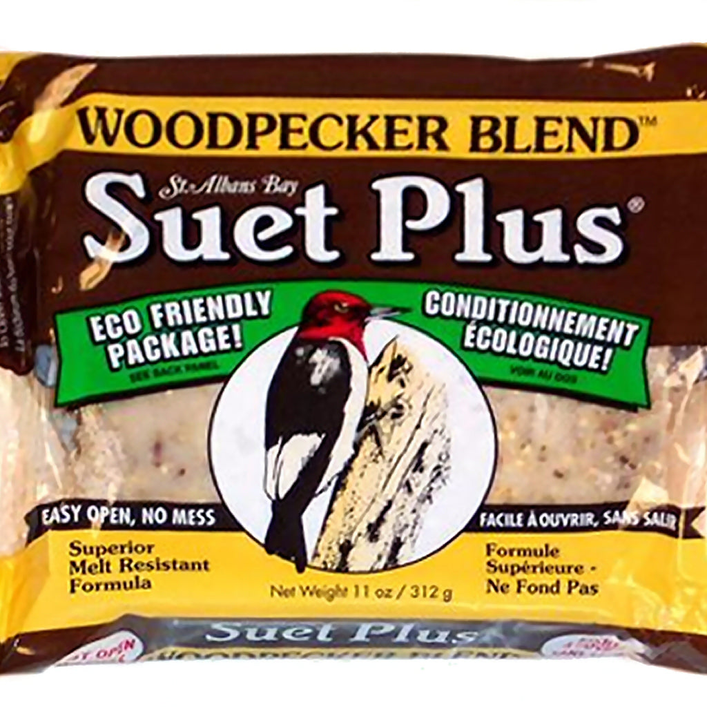 Woodpecker Blend Suet Plus Cake 11 oz - 3 pk