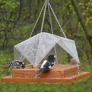 Super Hanging Tray Feeder w/Cover 9 inch