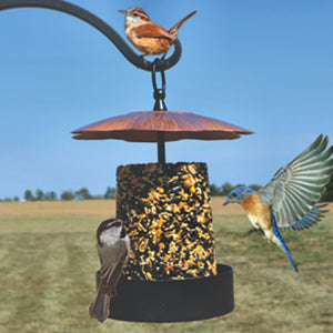 Copper Roof Multi-Purpose Bird Feeder