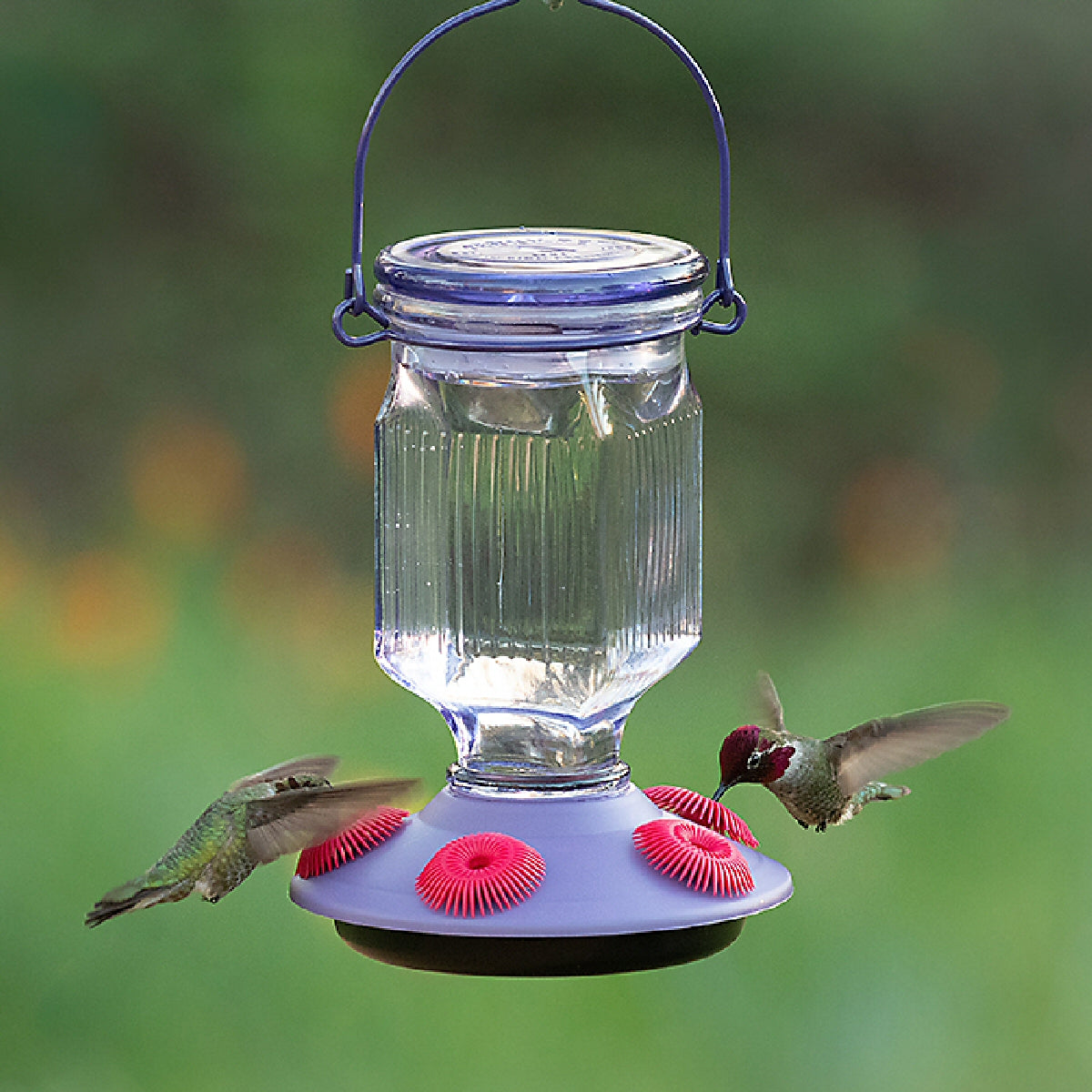 Lavender Top Fill Glass Hummingbird Feeder Mommas Home Store 4036