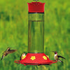 Glass Hummingbird Feeder 30 oz