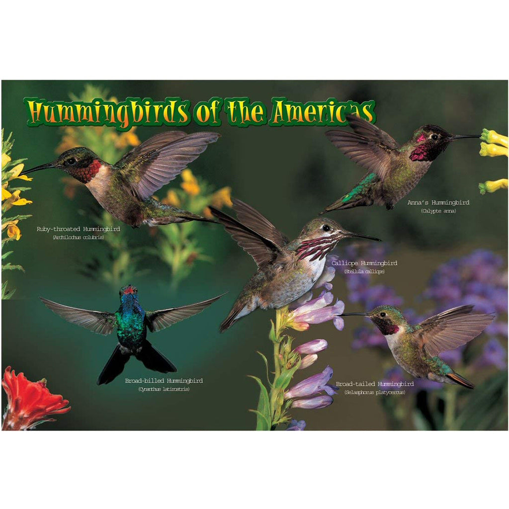 Hummingbirds of the Americas 40 Piece Puzzle