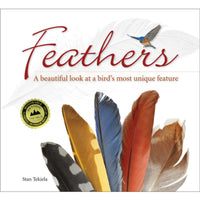 Feathers: A Beautiful Look at a Bird's Most Unique Feature