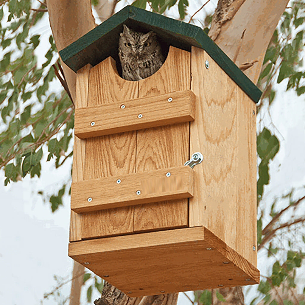 Red Cedar Screech Owl House