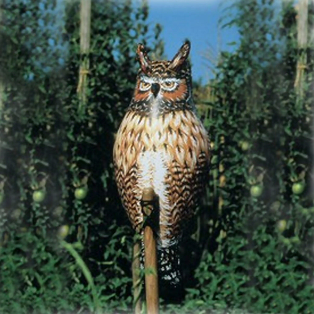 Inflatable Owl Decoy Deterrent - Momma's Home Store