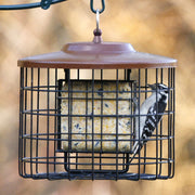 Squirrel-X Proof Double Suet Bird Feeder