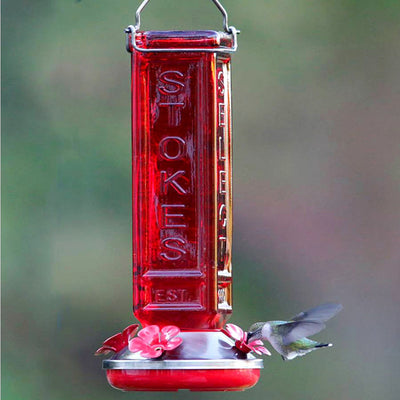 Collector's Hummingbird Feeder 19 oz