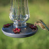 Starglow Vintage Hummingbird Feeder