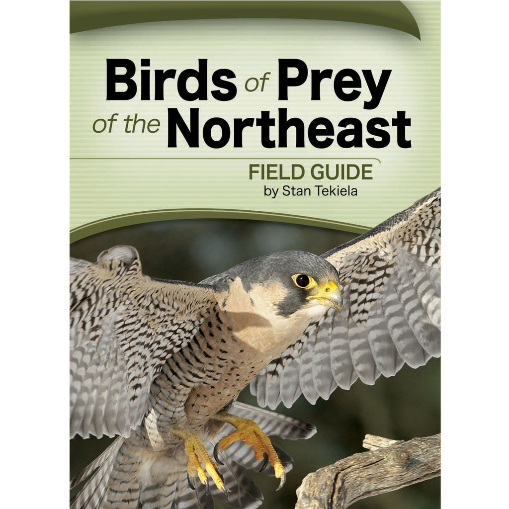 Birds of Prey of the Northeast Field Guide