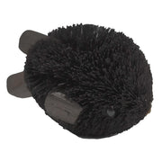 Buri Bristle Pufferfish 5 inch