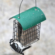Deluxe Double Suet Cage w/Green Roof