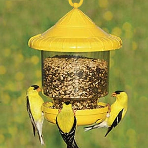 Clingers Only Bird Feeder Yellow - Momma's Home Store