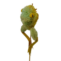 Buri Bristle Frog Plant Stake